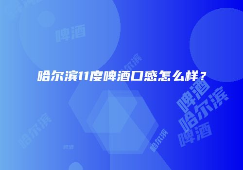 哈尔滨11度啤酒口感怎么样？