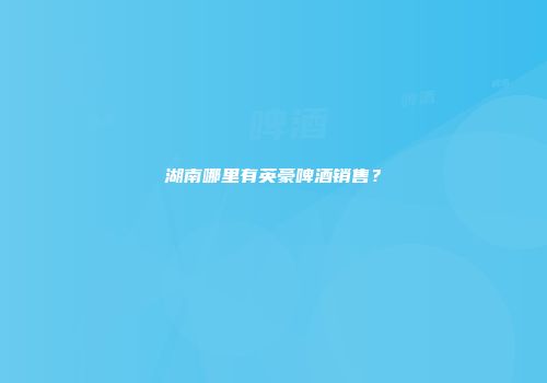 湖南哪里有英豪啤酒销售？