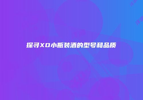 探寻XO小瓶装酒的型号和品质