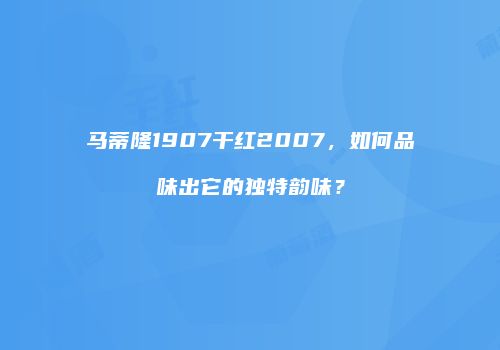 马蒂隆1907干红2007，如何品味出它的独特韵味？