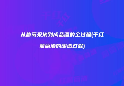 从葡萄采摘到成品酒的全过程(干红葡萄酒的酿造过程)