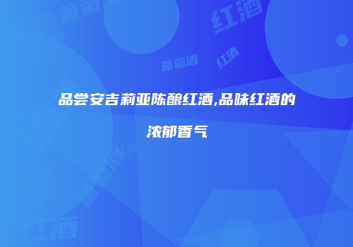 品尝安吉莉亚陈酿红酒,品味红酒的浓郁香气