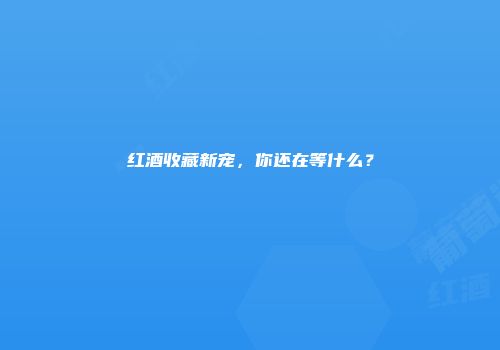 红酒收藏新宠，你还在等什么？