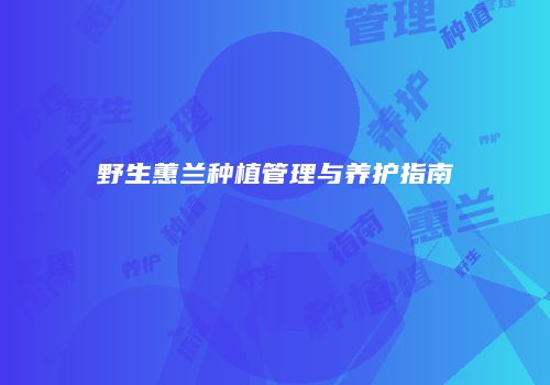 野生蕙兰种植管理与养护指南