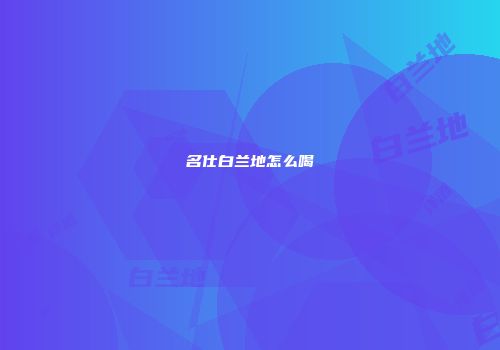 名仕白兰地怎么喝