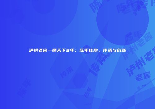 泸州老窖一桶天下9年：陈年佳酿，传承与创新