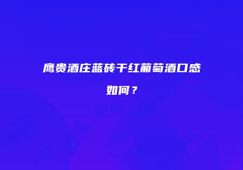 鹰贵酒庄蓝砖干红葡萄酒口感如何？