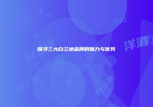 探寻三大白兰地品牌的魅力与优势