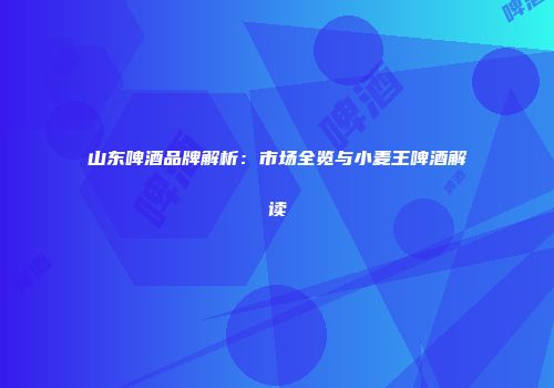 山东啤酒品牌解析：市场全览与小麦王啤酒解读