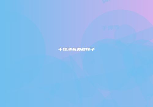 干啤酒有哪些牌子