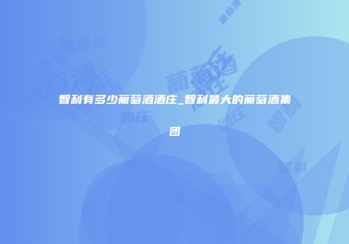 智利有多少葡萄酒酒庄_智利最大的葡萄酒集团