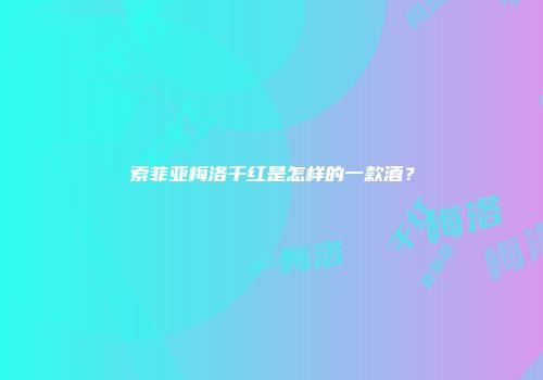 索菲亚梅洛干红是怎样的一款酒？