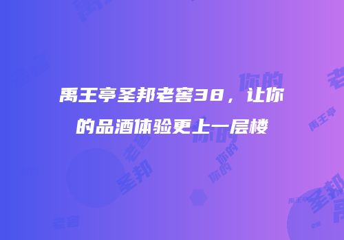禹王亭圣邦老窖38，让你的品酒体验更上一层楼