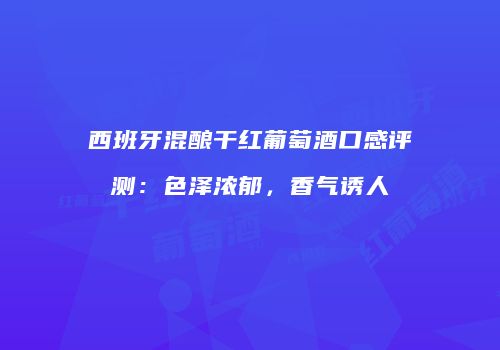 西班牙混酿干红葡萄酒口感评测：色泽浓郁，香气诱人