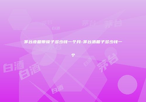 茅台皮箱带锁子多少钱一个月-茅台酒箱子多少钱一个