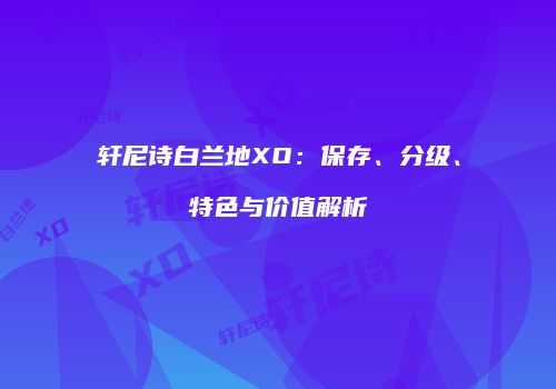 轩尼诗白兰地XO：保存、分级、特色与价值解析