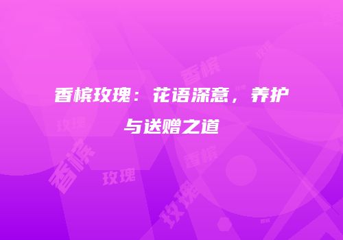 香槟玫瑰：花语深意，养护与送赠之道