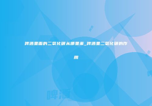 啤酒里面的二氧化碳从哪里来_啤酒里二氧化碳的作用