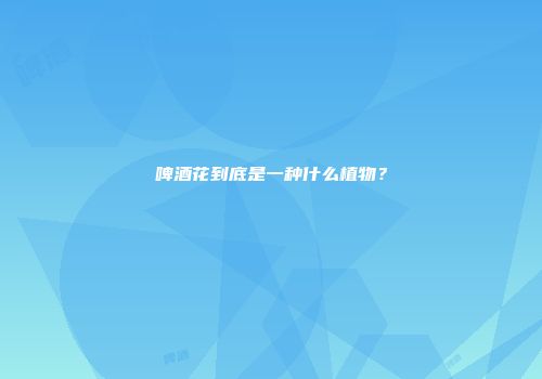 啤酒花到底是一种什么植物？