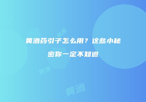 黄酒药引子怎么用？这些小秘密你一定不知道