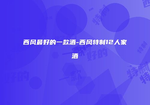 西风最好的一款酒-西风特制12人家酒
