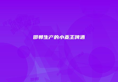 邯郸生产的小麦王啤酒