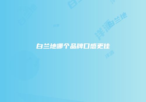 白兰地哪个品牌口感更佳