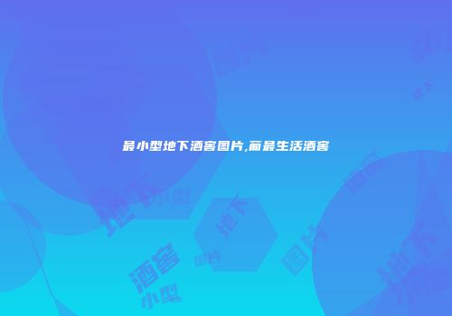 最小型地下酒窖图片,葡最生活酒窖