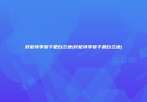 轩尼诗李擦干粑白兰地(轩尼诗李察干邑白兰地)