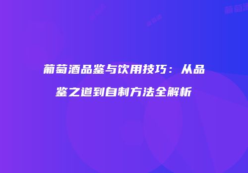 葡萄酒品鉴与饮用技巧：从品鉴之道到自制方法全解析