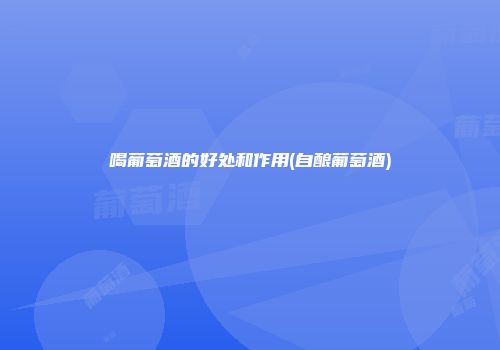 喝葡萄酒的好处和作用(自酿葡萄酒)