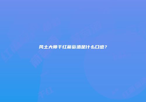 风土大师干红葡萄酒是什么口感？