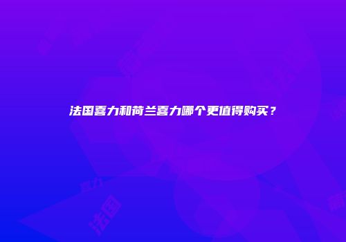 法国喜力和荷兰喜力哪个更值得购买？