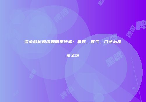 深度解析德国麦颂黑啤酒：色泽、香气、口感与品鉴之道