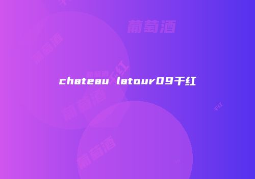 chateau latour09干红