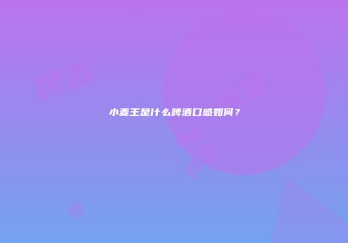 小麦王是什么啤酒口感如何？