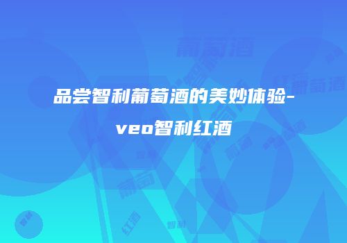 品尝智利葡萄酒的美妙体验-veo智利红酒