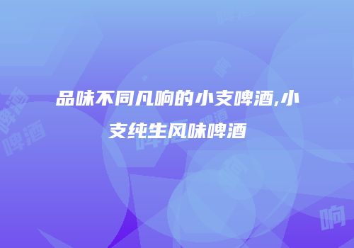 品味不同凡响的小支啤酒,小支纯生风味啤酒