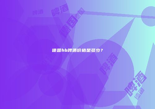 德国hb啤酒价格是多少？