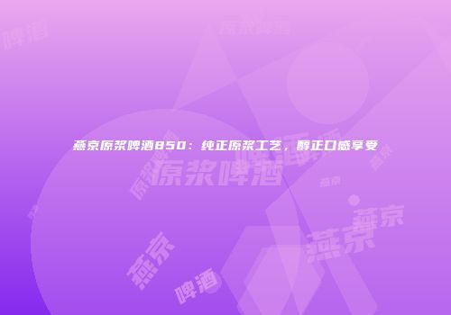 燕京原浆啤酒850：纯正原浆工艺，醇正口感享受