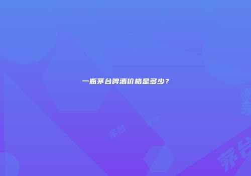 一瓶茅台啤酒价格是多少？