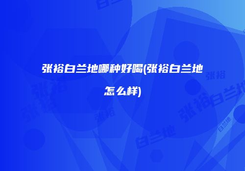 张裕白兰地哪种好喝(张裕白兰地怎么样)