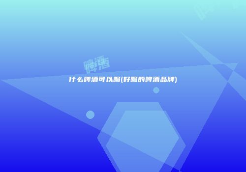 什么啤酒可以喝(好喝的啤酒品牌)