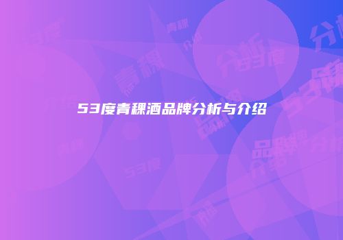 53度青稞酒品牌分析与介绍