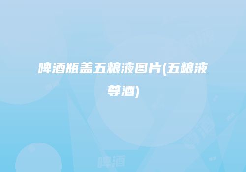 啤酒瓶盖五粮液图片(五粮液尊酒)