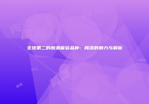 全球第二的酿酒葡萄品种：梅洛的魅力与解析