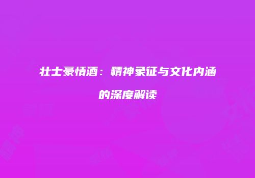 壮士豪情酒：精神象征与文化内涵的深度解读