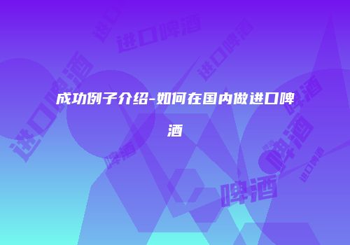 成功例子介绍-如何在国内做进口啤酒