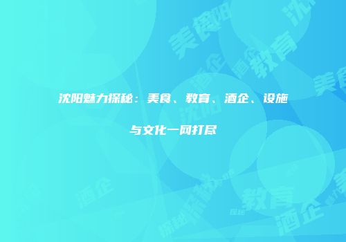 沈阳魅力探秘：美食、教育、酒企、设施与文化一网打尽