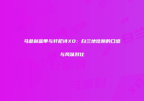 马爹利蓝带与轩尼诗XO：白兰地佳酿的口感与风味对比